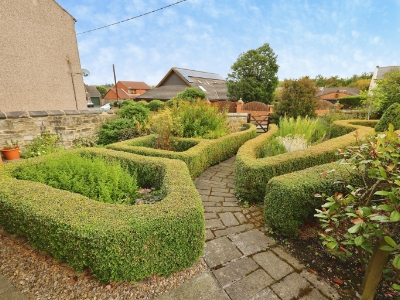 Picture 23